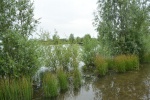 IMG_0178.JPG